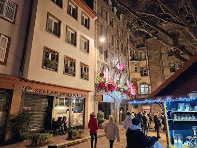 Agence immobilière Sellam Immobilier