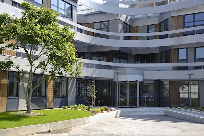 Angers Loire habitat