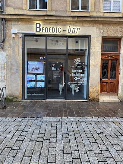Benedic immobilier