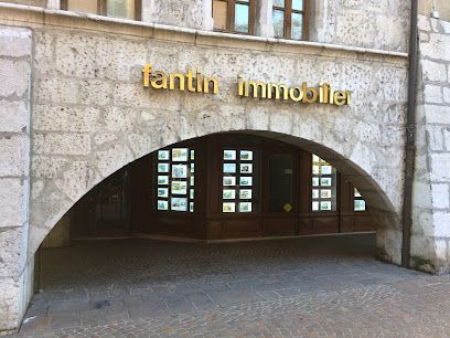 Fantin Immobilier