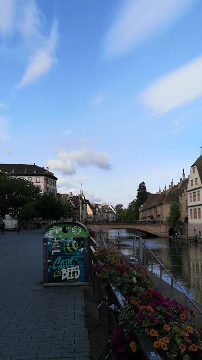 IMMOBILIERE DU RHIN SA