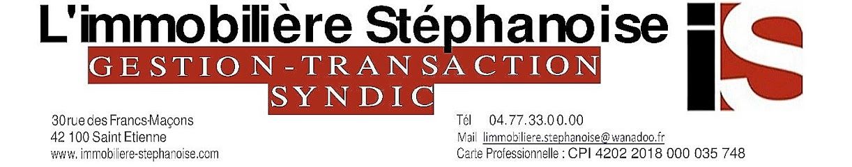 immobilière Stéphanoise