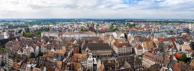 IN FINE - Conseil immobilier