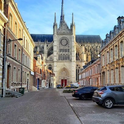 Julie JUNGE - iad France