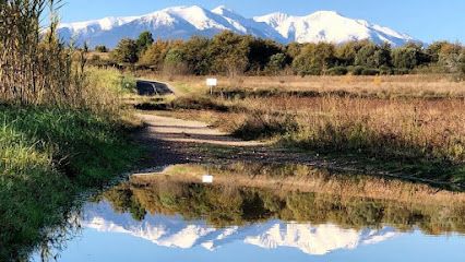 Vincent GUEDON - SAFTI Immobilier Perpignan